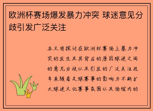 欧洲杯赛场爆发暴力冲突 球迷意见分歧引发广泛关注